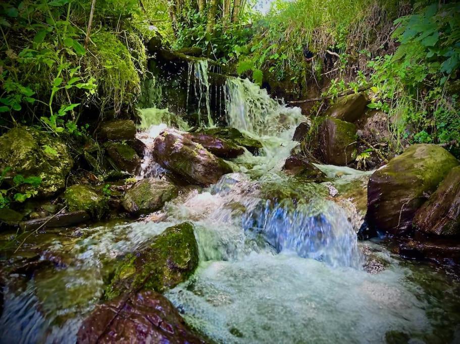 Bergerie De Lasariberes Gazost  Buitenkant foto